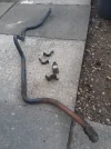 20200801_173112.webp