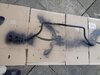 20200801_180544.jpg