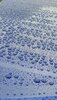 20200821_165914.jpg