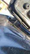 IMG_20201104_075938.webp