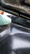 IMG_20201104_082837.webp