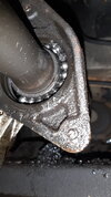 20201219_173427.jpg