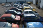 DSC_1010.webp