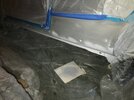 IMG_1716.JPG