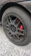 IMG_20210224_111754.webp