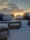 20210210_163826.jpg