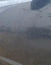 20210318_171233.webp