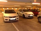 white2.webp