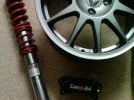 compbrake max the dog 016.webp