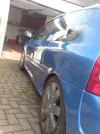 shine 2.webp