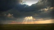 p1020121cc2new.webp