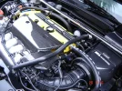 DSC00078.webp