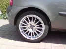 ST3.webp
