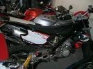 3493_1.webp