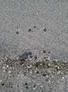 20210816_203329.jpg