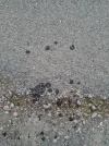 20210816_203329.webp