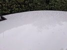 PXL_20211004_173101114.jpg