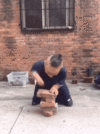 200.gif