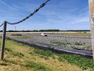 IMG_20220716_141718.jpg