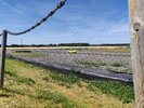 IMG_20220716_141724.jpg