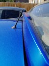 IMG_20220810_113452.jpg
