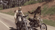 200.gif