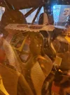 20230131_191923.webp