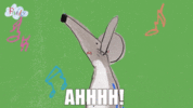 200.gif 200.gif