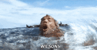 200.gif 200.gif
