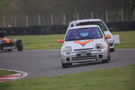 IMG_4450.jpeg