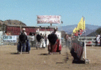 200.gif