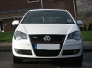 polo1.webp