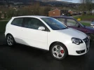 polo3.webp