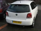 polo4.webp