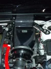 bay2.webp