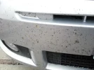bugs_frontleft.webp