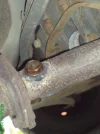 DSC00203.webp