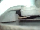 newDSC00068.webp