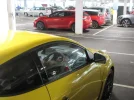 IMG_1377s.webp