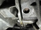 IMG_1079.jpeg