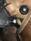 IMG_0411.jpeg