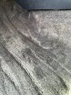 IMG_0597.jpeg