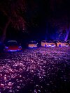 IMG_9325.jpeg