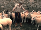 200.gif 200.gif