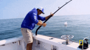 200.gif