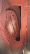 IMG_6537 (1).PNG