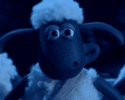 200.gif