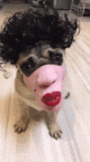 200.gif