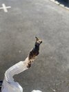 IMG_5249.jpeg