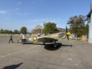 IMG_5041.jpeg